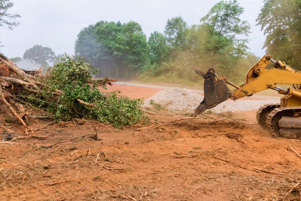 Ground Clearing in Shelton