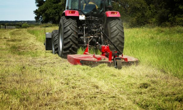 Brush Clearing Service in Shelton