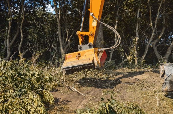 Brush Removal Service in Shelton