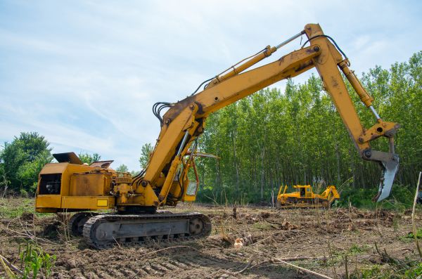 Farm Clearing in Shelton