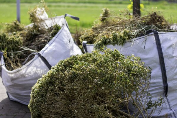 Bushes Clearing in Shelton