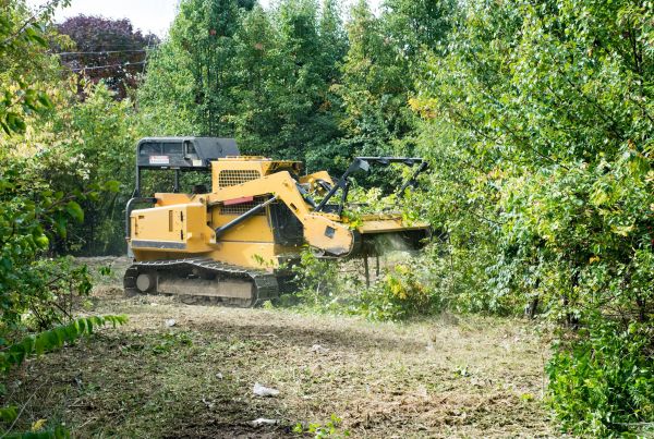 Pathway Clearing in Shelton