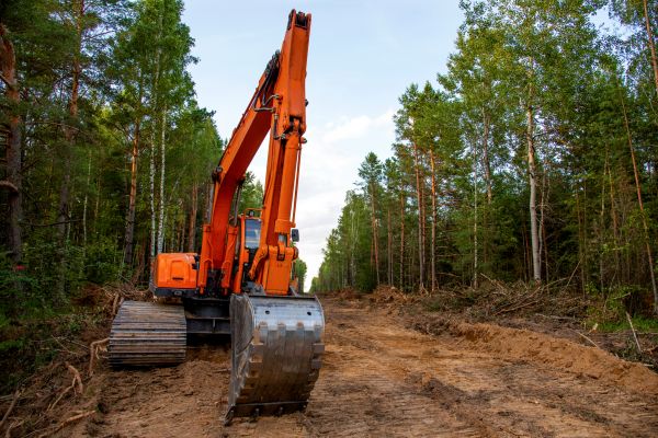 Backhoe Land Clearing in Shelton