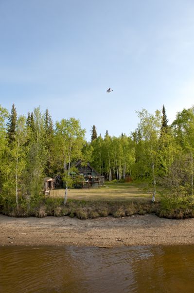 Waterfront Land Clearing in Shelton