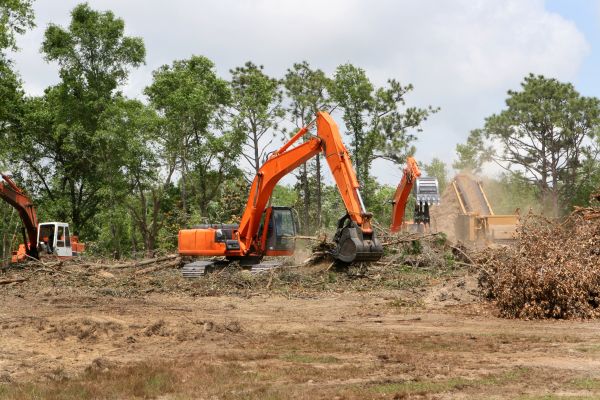 Commercial Lot Clearing in Shelton