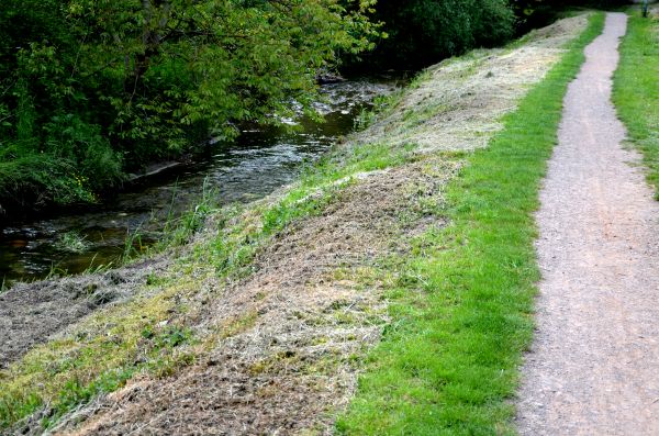 Trail Cutting in Shelton