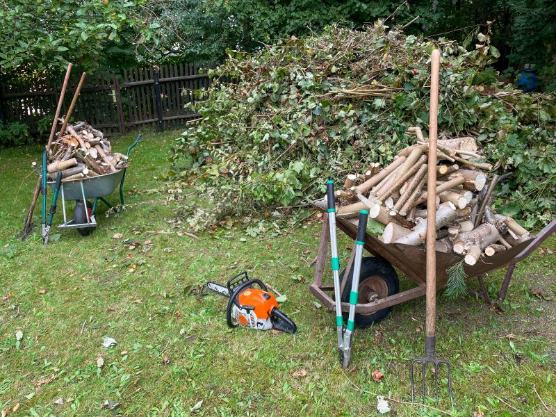 Debris Removal After Clearing